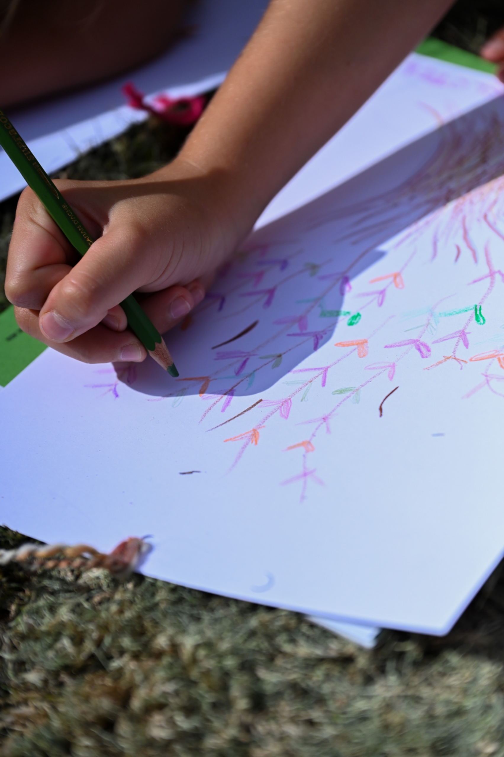 WhatsApp Image 2025-11-06 at 12.56.36w