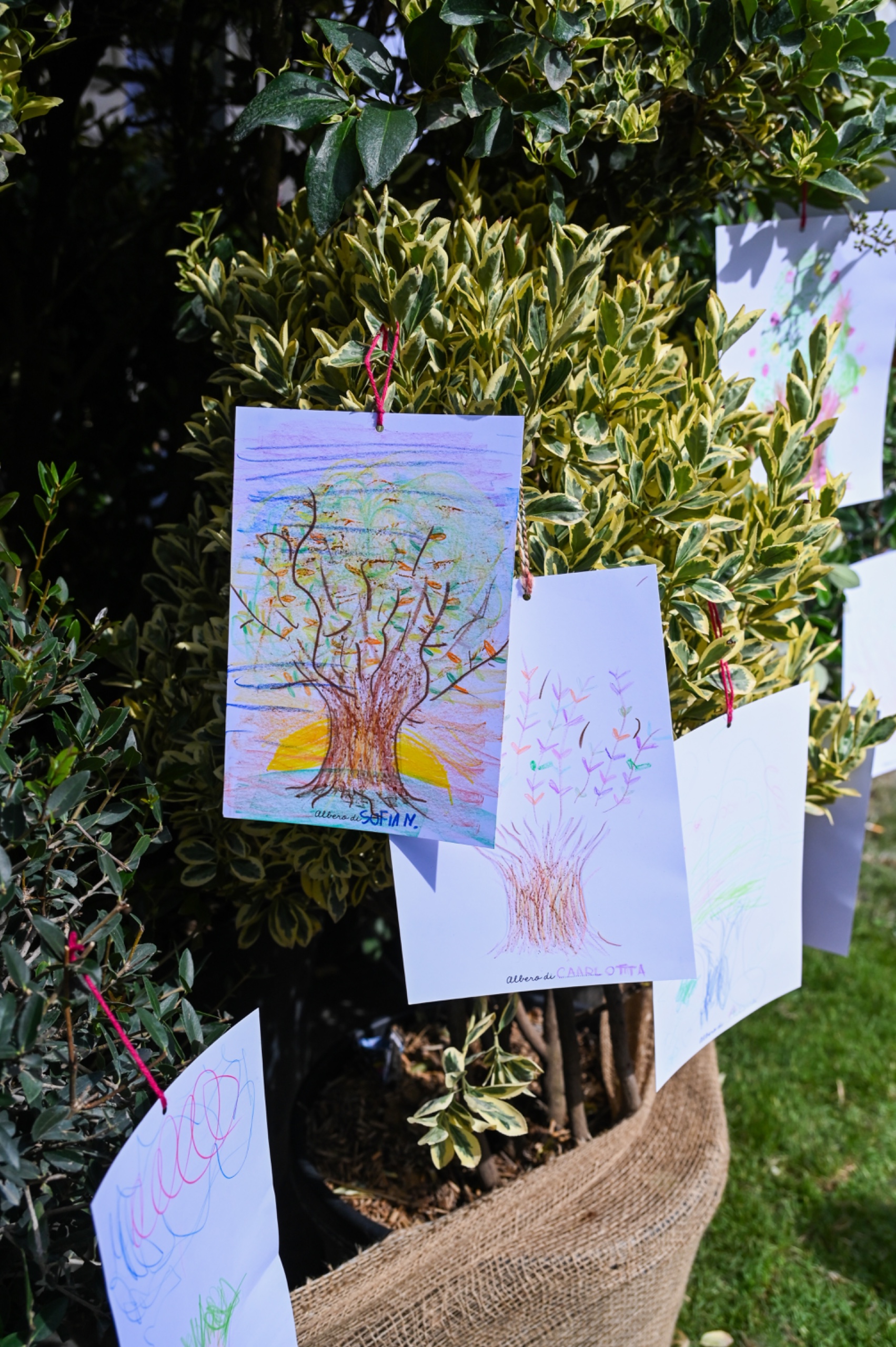 WhatsApp Image 2025-11-06 at 12.56.36ww