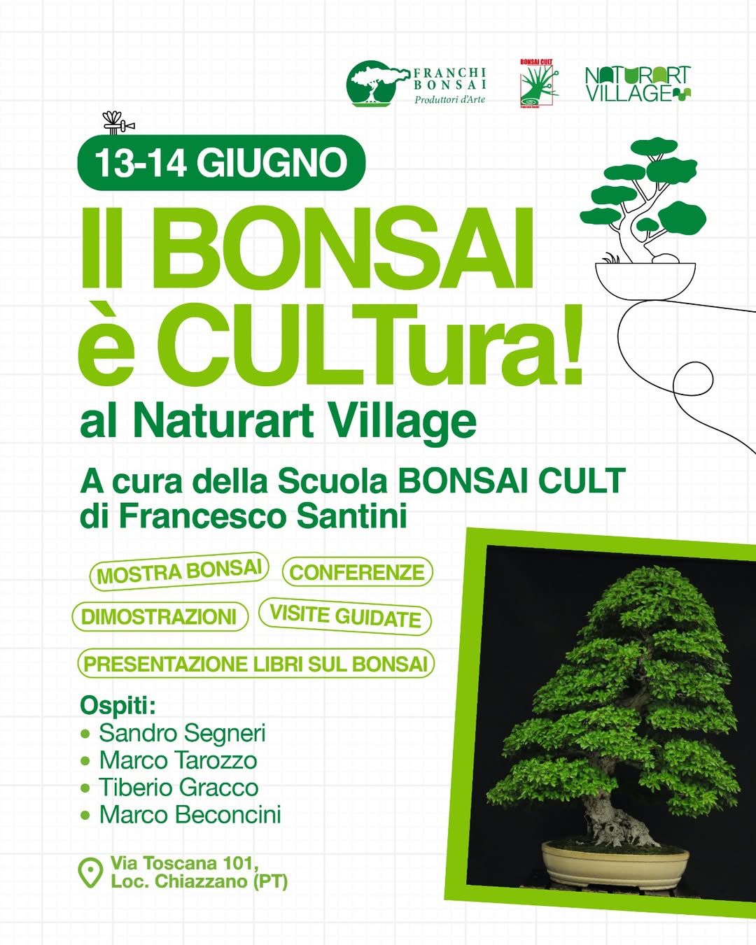 il bonsai è cultura